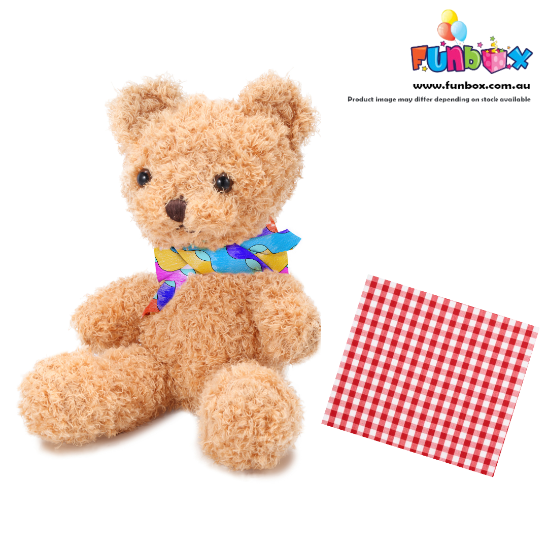 Fluffy Teddy Stuffems with Picnic Blanket