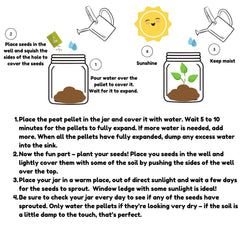 Diy Plant A Carrot Pot Kit