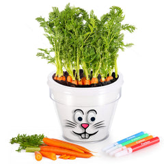 Diy Plant A Carrot Pot Kit